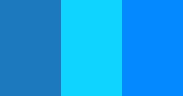 AMP Brand Color Palette | Colorio